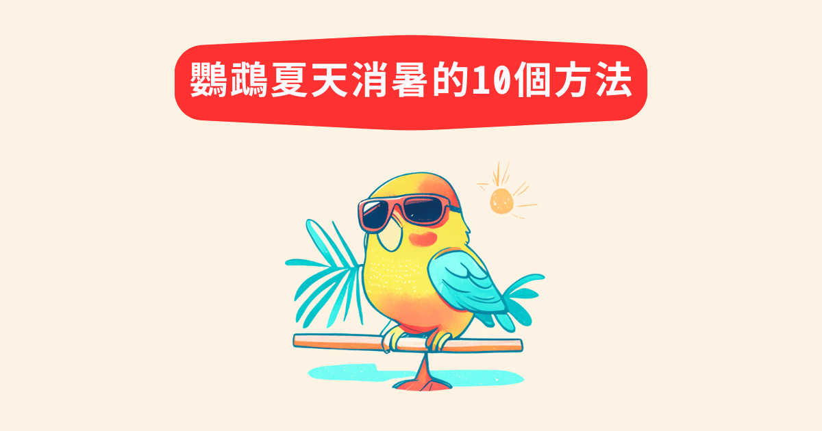 鸚鵡夏天消暑的10個方法