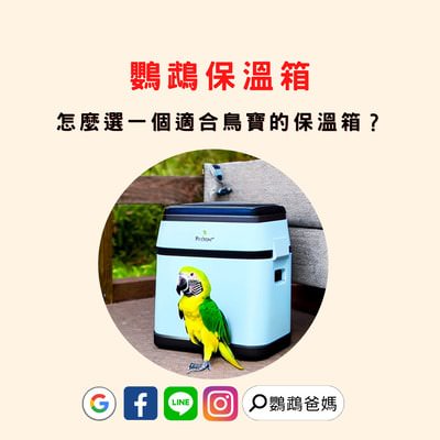 鸚鵡保溫箱推薦 | 怎麼選一個適合鳥寶的鸚鵡保溫箱？