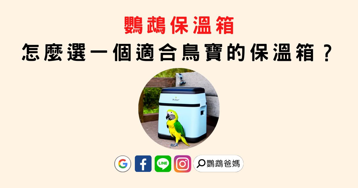 鸚鵡保溫箱推薦|怎麼選一個適合鳥寶的鸚鵡保溫箱？